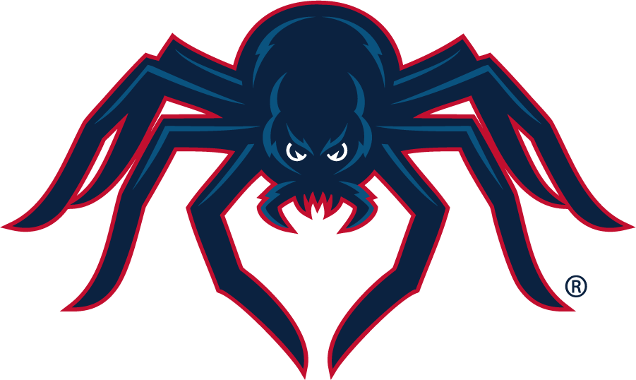 Richmond Spiders 2002-2012 Secondary Logo diy iron on heat transfer